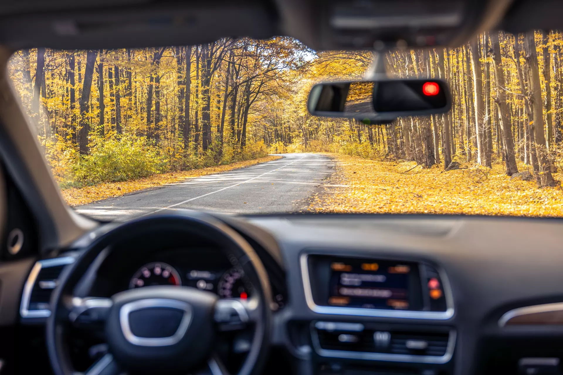 car-steering-wheel-interior-road-view-from-inside-car (1)