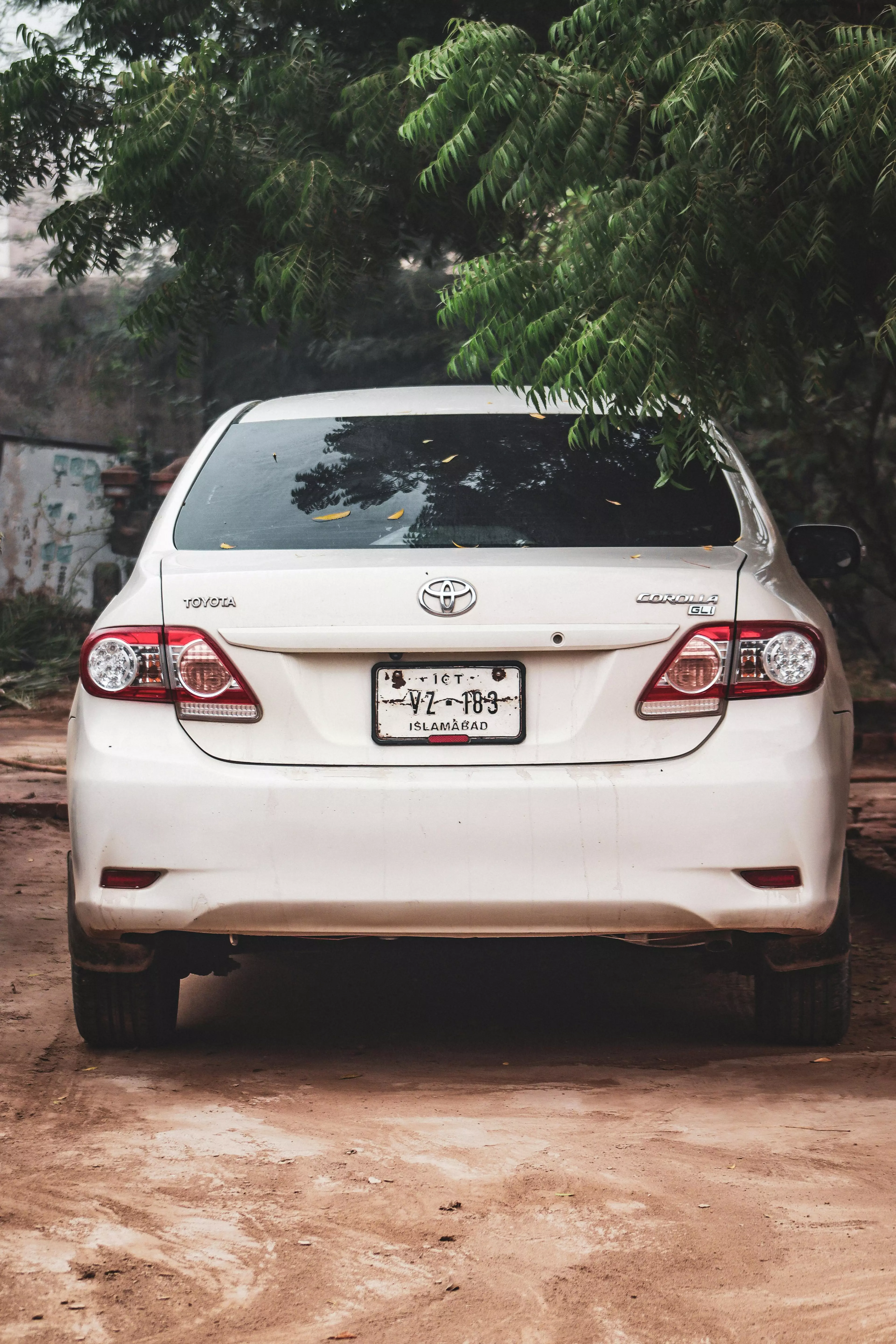 pexels-drphotographer152-29458514