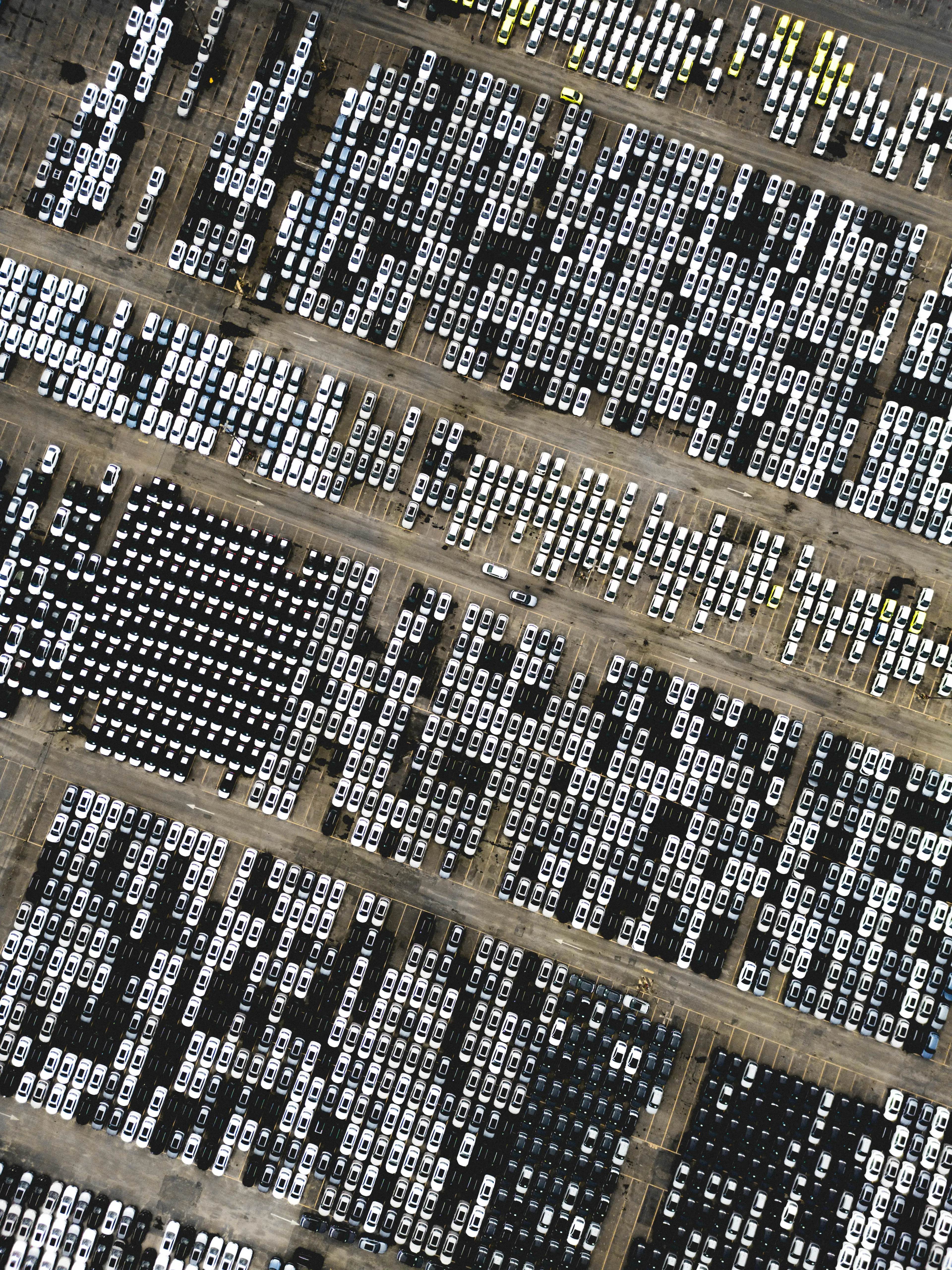 pexels-jonathanborba-34298680