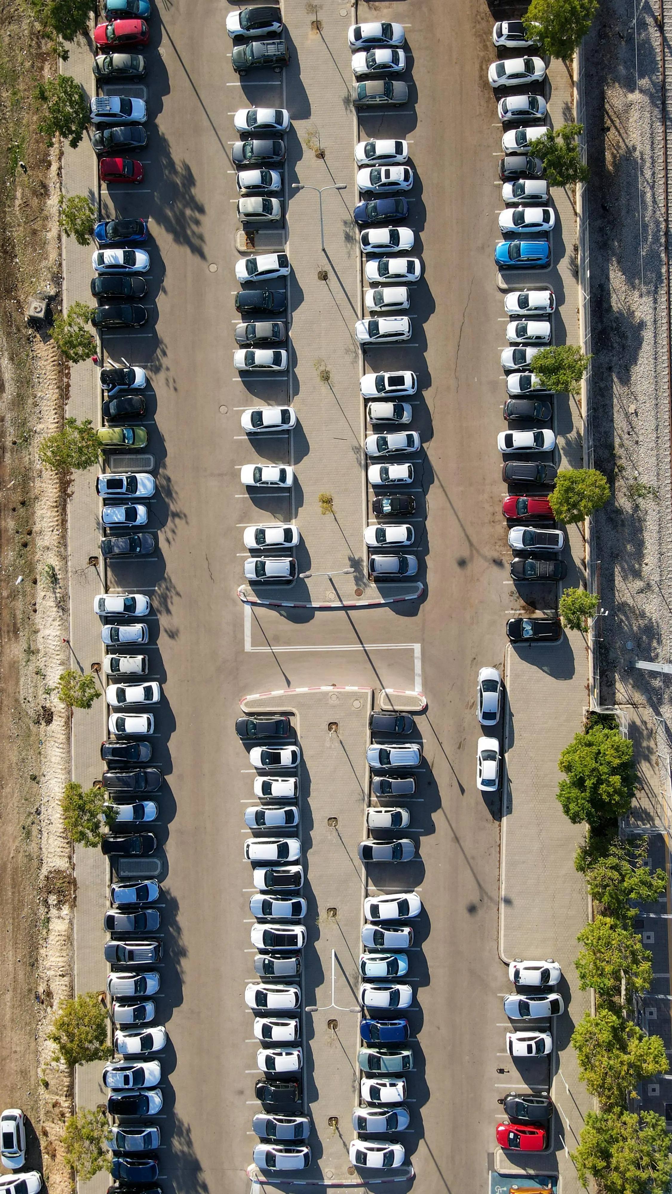 pexels-samir-smier-314916757-30499945